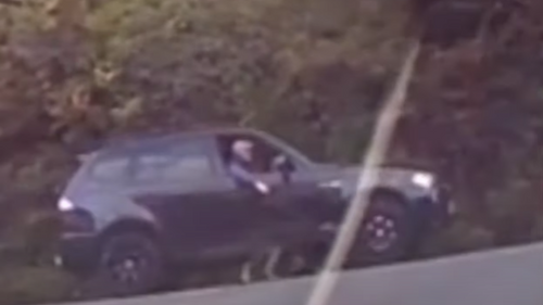 Un homme promène son chien en conduisant sa voiture (Vidéo)